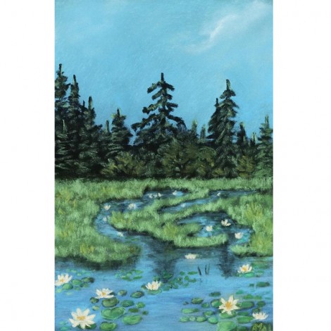 Wetland by Algonquin Park by Anastasiya Malakhova 5D DIY Paint By Diamond Kit