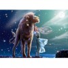 Dog Sees Constellations 5D DIY Paint By Diamond Kit