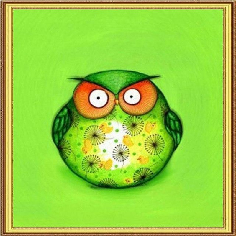 Green Owl 5D DIY Pai...