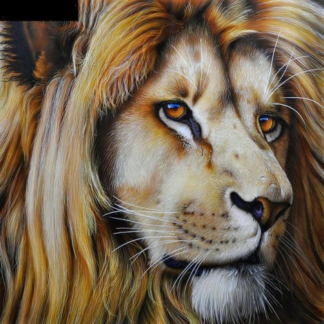 Lion Embroidery Cross Stitch 5D DIY Paint By Diamond Kit