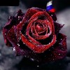 Russian Flag utterfly Rose 5D DIY Paint By Diamond Kit