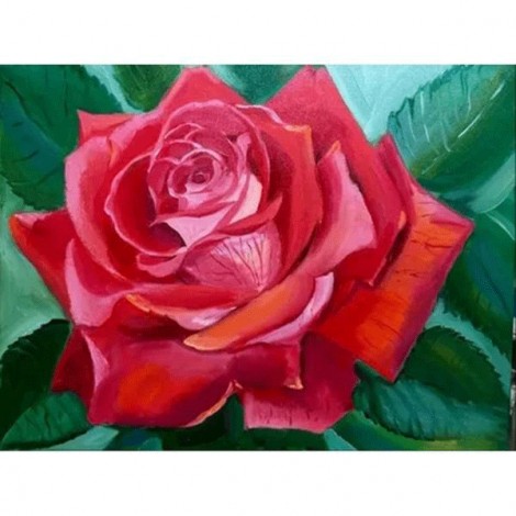 Red Rose 5D DIY Paint By Diamond Kit