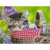 Sleeping Kitten 5D DIY Paint By Diamond Kit