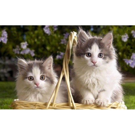 Two Kittens In Basket 5D DIY Paint By Diamond Kit