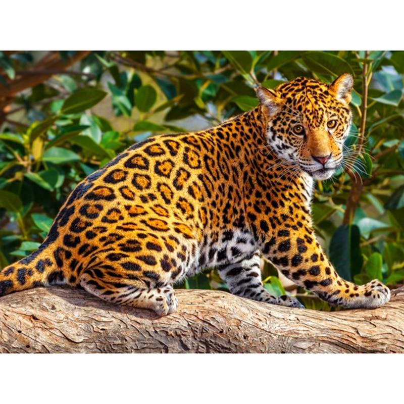 Leopard 5D DIY Paint...