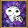 Purple Owl 5D DIY Paint By Diamond Kit