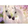 Two White Horses 5D DIY Paint By Diamond Kit