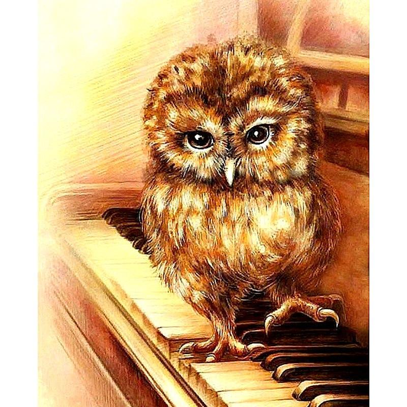 Owl Playing Piano 5D...