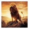 Majestic Lion 5D DIY Paint By Diamond Kit