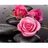 Roses & Stones 5D DIY Paint By Diamond Kit