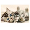 Kitten 5D DIY Paint By Diamond Kit