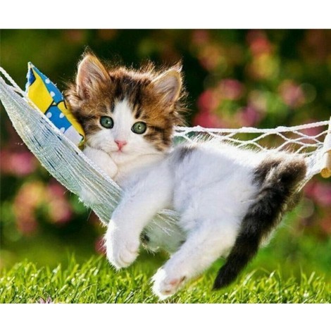 Hanging Kitten 5D DIY Paint By Diamond Kit