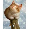 Lovely Fat Cat Diy 5D DIY Paint By Diamond Kit