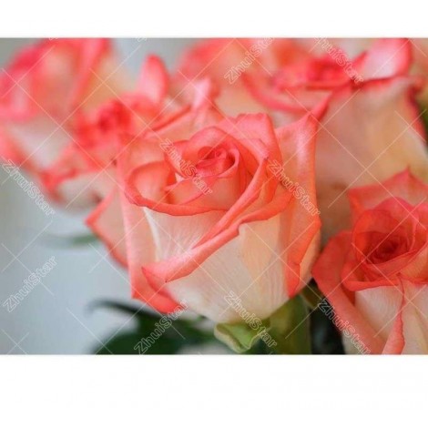 Roses 5D DIY Paint By Diamond Kit