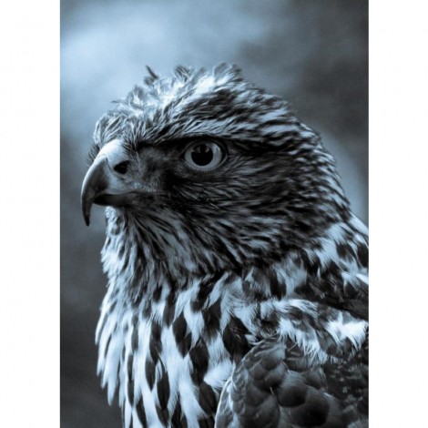 Fierce Eagle 5D DIY Paint By Diamond Kit