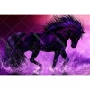 Majestic Dark Horse 5D DIY Paint By Diamond Kit