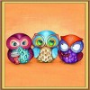 Full Square Cartoon Owl 5D DIY Paint By Diamond Kit