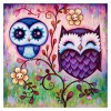 Lovely Two Owls 5D DIY Paint By Diamond Kit