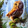 Forest Eagle 5D DIY Paint By Diamond Kit