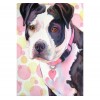 Colorful Dog 5D DIY Paint By Diamond Kit