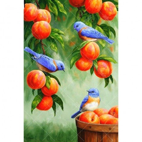 Fruit Bird 5D DIY Paint By Diamond Kit