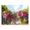 Flower Bridge Bicycle 5D DIY Diamond Painting