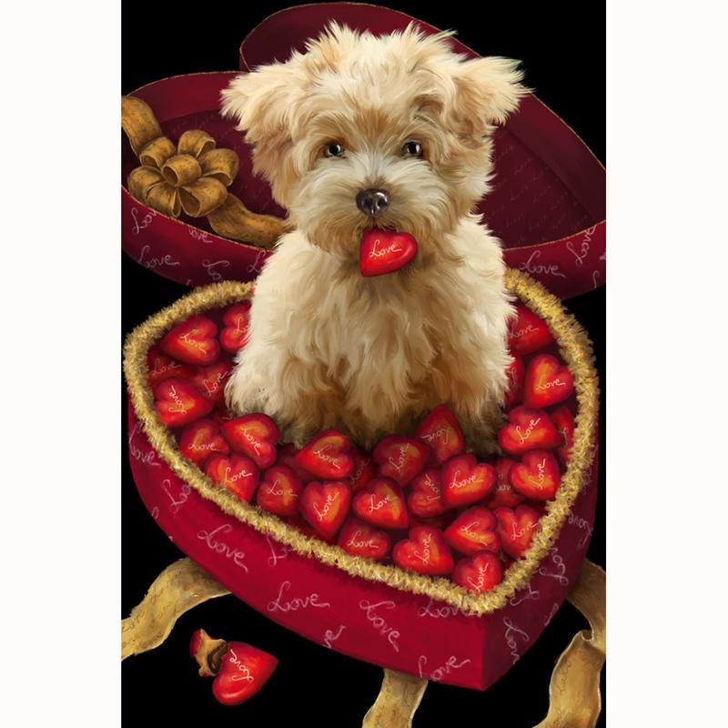 Puppy Eating Strawbe...