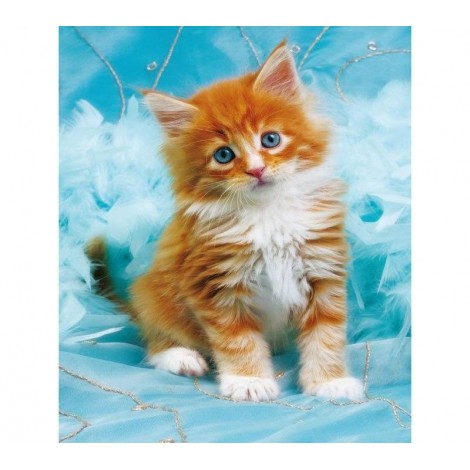 Cute Cat 5D DIY Paint By Diamond Kit