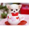 Cute Dog In The Cup 5D DIY Paint By Diamond Kit