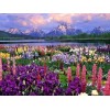 Flower and mountain 5D DIY Paint By Diamond Kit