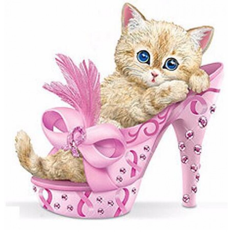 Pink Heeled Kitten 5...