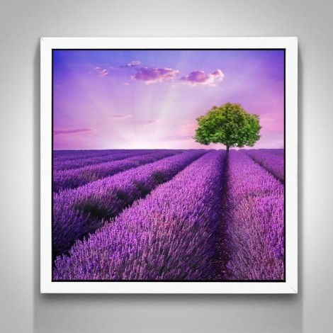 Lavender Garden 5D DIY Paint By Diamond Kit