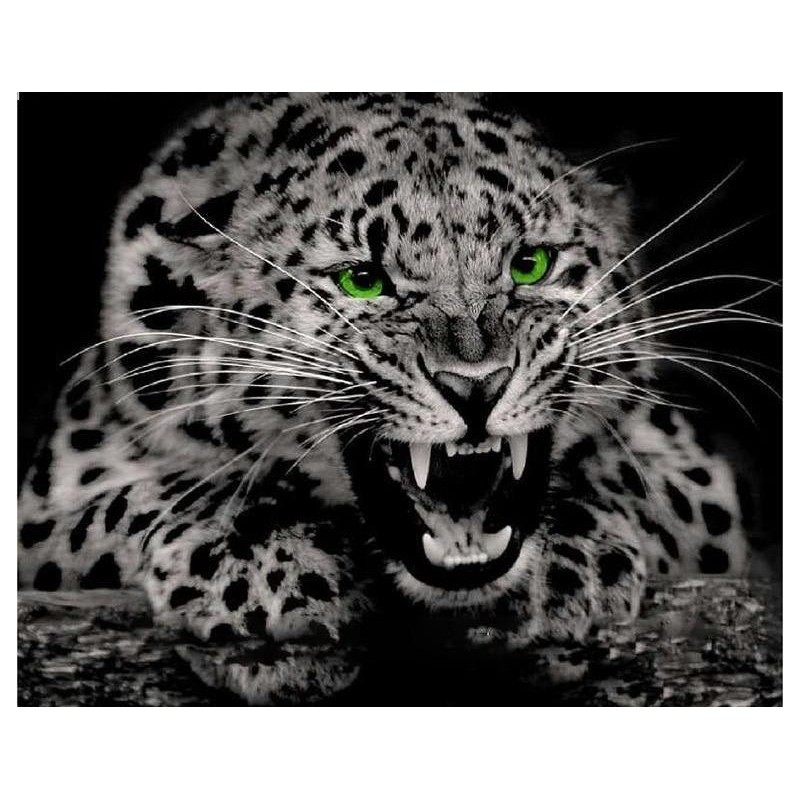 Ferocious Leopard 5D...