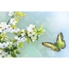 Green Butterfly 5D DIY Paint By Diamond Kit