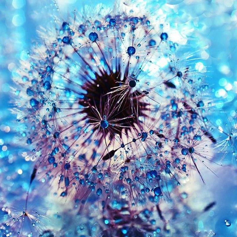 Frozen Dandelion 5D ...