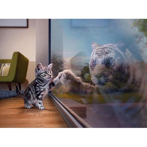 Cat & Tiger 5D DIY Paint By Diamond Kit