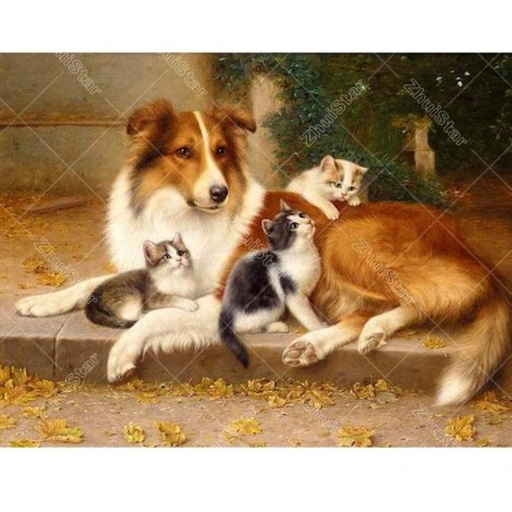 Friendly Dog & Cat 5D DIY Paint By Diamond Kit