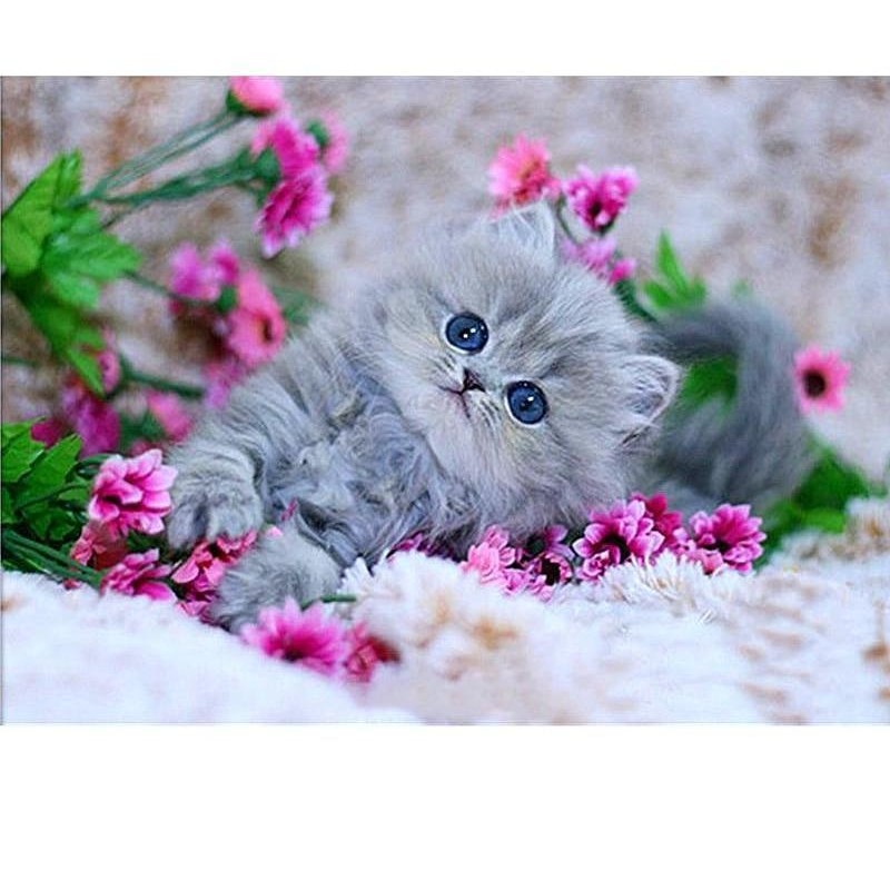 Cute Kitten 5D DIY P...