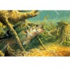 Sea Fish 5D DIY Paint By Diamond Kit