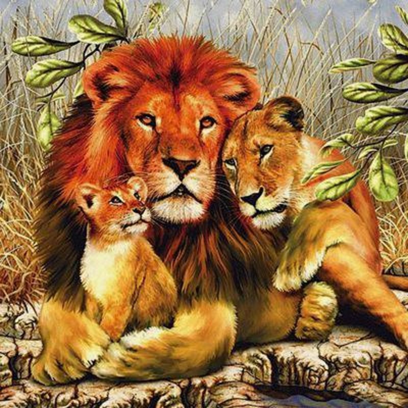 Lion Family 5D DIY D...