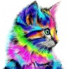 Rainbow Kitten 5D DIY Paint By Diamond Kit