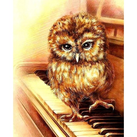 Piano Owl 5D DIY Paint By Diamond Kit