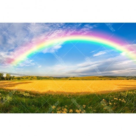 Rainbow Field 5D DIY Paint By Diamond Kit