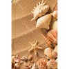 Conch Shells 5D DIY Paint By Diamond Kit