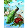 Needlework Peacock 5D DIY Paint By Diamond Kit