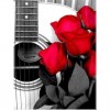 Roses & Guitar 5D DIY Paint By Diamond Kit