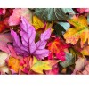 Colored Maple Leaves 5D DIY Paint By Diamond Kit