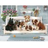 Lovely Dog Cat 5D DIY Paint By Diamond Kit