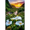 Mountain Village Calla 5D DIY Paint By Diamond Kit