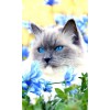 Lonely Cat 5D DIY Diamond Painting